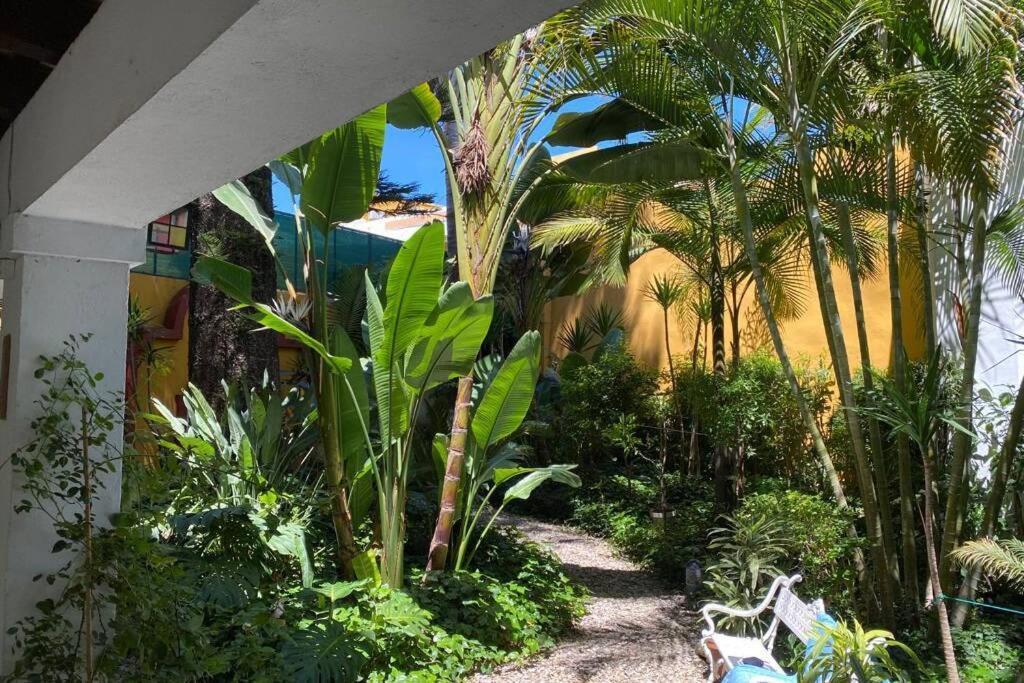 Duplex Centrico Frente A Hotel Monasterio, Playas Y Pinares En Las Proximidades Ел Пуерто де Санта Мария Екстериор снимка